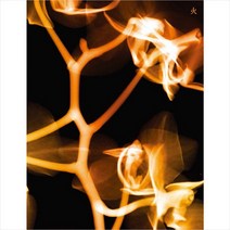 (CD) (여자)아이들 - I Burn (4th Mini Album) (불 Ver.), 단품