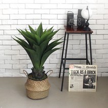 조아트 인조나무 조화 아가베아테누아타 & 유카 그린테리어 나무, 02_아가베아테누아타 85cm