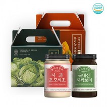 본디 맛있는 양배추즙 호박즙 20포 1박스 새싹보리 사과초모식초분말 사이다비니거, 사과초모식초분말150g