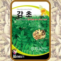 감초 300립 / 감초씨앗 감초씨 종자 한약재 토속종자 민속채소, 30.감초