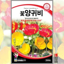 꽃양귀비 2000립 / 두해살이 꽃씨 씨앗 화단 정원 꽃밭