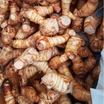 갈랑갈 1kg Galangal