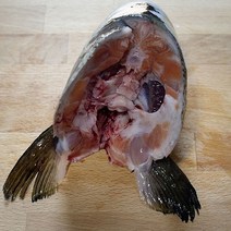 노르웨이산 신선 연어 머리 /구이 조림 매운탕, 250~350g 내외, 8개