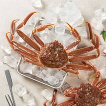 포항 영덕 선주직송 국산 박달 준박달 대게, 준박달 대5마리