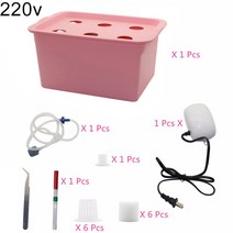 마카롱 몬스테라 알보 안스리움 라디칸스 알로카시아 바리에가타 수경재배 관수시설1 세트 110V 220V 식물 현장 수경 시스템 키트 6 1, 빨간색 220V