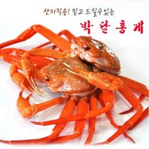산지직송 [경북영덕]영덕박달홍게 5마리 (마리당 400g내외 수율80~90%), 단품없음