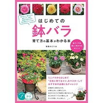 꽃 꽂이 플라워 스타일링 처음 화분 장미 기르는 방법의 기본을 아는 책 화분으로 장미를 아름답게 피는 포인트 일본 직배송