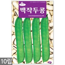 3종 모듬 당근 씨앗 1g - 씨 당근씨앗 당근씨 노랑당근 자색당근 빨간당근 자색당근 주말농장 텃밭, 18_백작두콩(10립)