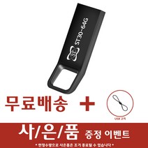 에스티원테크 ST30 메탈 USB메모리 블랙, 64GB