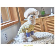 푸들 포메 비숑 강아지 외출 예쁜 도트 옷 코카스파니엘옷 개옷, M