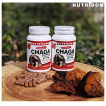 캐나다 뉴트리돔 차가버섯 20배농축, 180mg, 1개