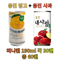 웅진 망고&사과 180ml X 각30개(총60개) 과채 과즙 음료 업소용 소캔 미니캔 음료도매 착즙, 망고 180ml 30캔 + 사과 180ml 30캔