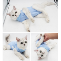 고양이 환묘복 강아지 환견복 중성화복 중성화옷, 블루
