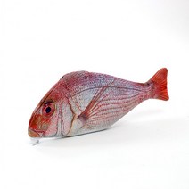 물고기필통 최저가로 저렴한 상품의 판매량과 리뷰 분석