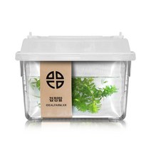 [노올] 검정말 관찰세트 자연 초등교과 수생식물