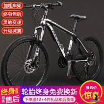 출퇴근 하이브리드 픽시 입문용 경량 26인치 24인치 가벼운 자전거 변속 디스크, 27속, 27.5인치, 블랙실버/스포크휠