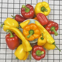 국내산 파프리카 미니파프리카 바나나파프리카 빨간 노랑 주황 피망, 파프리카 5kg 선물용