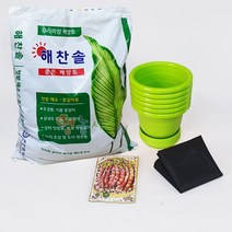 강낭콩키우기 재배세트 6인세트 식물키우기, 얼룩이강낭콩재배6회분세트(그린)