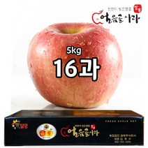 스노우애플 밀양얼음골사과 5kg / 금황사과 부사, 1박스, 5kg 16과