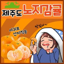 [득템몰] 제주도 귤 3kg 5kg 10kg 최상품 산지직송 황금향 선물 가정용 제주감귤 노지 감귤 밀감 고당도 과일, 2.5kg