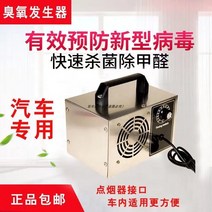 자동차 오존 소독기 발생기 가정용 포름 알데히드 제거 공기 청정기 실내 살균 차량용, 차량용 12V - 일반 버전