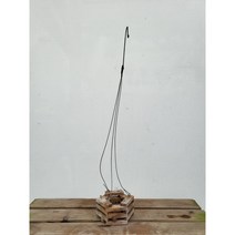 60~80cm 이오난사화분 육각 공중화분 39
