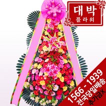 전국꽃배달서비스축하화환 싸게파는곳 검색결과