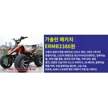 ATV 사륜바이크 AT 전지형 미니 화성 가와사키형 사륜 산악 오프로드 모터사이클 수컷 카트라이더 우전기, 04 휘발유 모델 패키지E