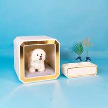 지트펫 강아지 집 고양이 하우스 애견 중형 대형, 미포함, 각인문구 안함