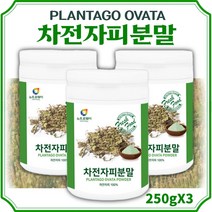 차전자피 100% 분말 식이섬유300g ﻿x 3통 질경이 씨앗 수용성 식이 섬유소 가루 차전피 자전차피 차전차피 퀘변 임산부 수험생 여성 남성 환자 고시생