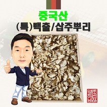 중국산 (특)백출/삽주뿌리 300g/100g (경북 영천) 수입산 수입, 1개, 100g