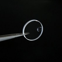 사파이어 시계 크리스탈 Rlx 사이클롭스 21.3mm 25.3mm 29.4mm 30.4mm 32.7mm 유리 부품 206C 246C 286C 295C 315C 교체