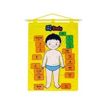 벽걸이차트/나의몸(My Body)