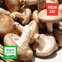 고창 생 표고버섯 1kg, 1box, 상품 1kg