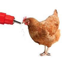 급수 니플 메추리 닭 물 통 병아리 니뿔 앵무새 닛뿔 닙플 공급 수직 2P, 1-조류급수수직니플2P