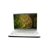 고급 중고노트북 사무 영화감상용, 04-LG R510 고급, 윈도우7, 4GB, 250GB, 인텔 코어2, 블랙화이트랜덤