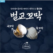 꼬막 새꼬막 참꼬막 벌교 3kg, 새꼬막(특대품), 5kg, 1개