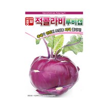 콜라비씨앗 100립 적 자색 레드 콜라비 씨 종자, 1개