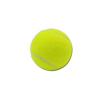 테니스볼머신기 연습기 리턴볼 포구기 용품1공 애완 동물 테니스 발사기 특별 개 서버 작은, 02 1 ball 6.5cm