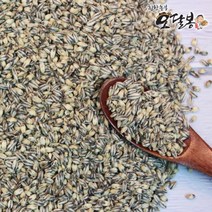 힘찬농부오달봉 2022년 햇 국산 흑보리 500g x 5봉 흑찰보리 검정보리쌀 흑찰보리 블랙보리, 1세트, 흑찰보리500g x 5봉