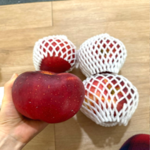 특품 애플피치 복숭아사과 엔부 피치애플 시나노골드 홍옥 아오리 임신부 제철과일 선물세트 1.4.kg2.3kg, 2.3kg