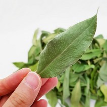 미스터팜팜 허브차 국내산 레몬머틀 건잎 20g 1봉, 1개