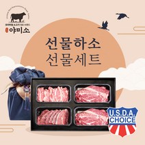 야미소 미국산 초이스급 냉장 소고기 선물세트 선물하소, 2kg세트: 갈비살+부채살+알목심2팩