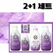 아모레 2+1 바디 라벤더 5종 종합선물세트 가방포함, 상세페이지 참조