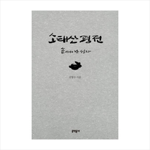 소태산 평전:솥에서 난 성자, 문학동네