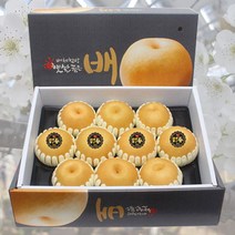 나주 전통 꿀배 신고배 선물세트 5kg 7.5kg, 5kg 6~7과