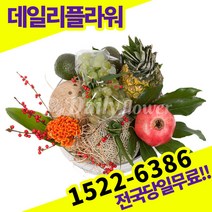 과일바구니 출산 집들이 선물 병문안 전국당일배송 꽃배달