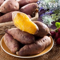 싱싱한 꿀고구마 특대 10kg 말랭이용, 1개
