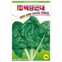 아시아종묘 채소씨앗종자 백경근대(15g)