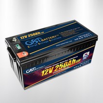 [국내제조]지에스피 리튬인산철 캠핑용 카라반 산업용 배터리 GSP-LFP-12V250A, 1개